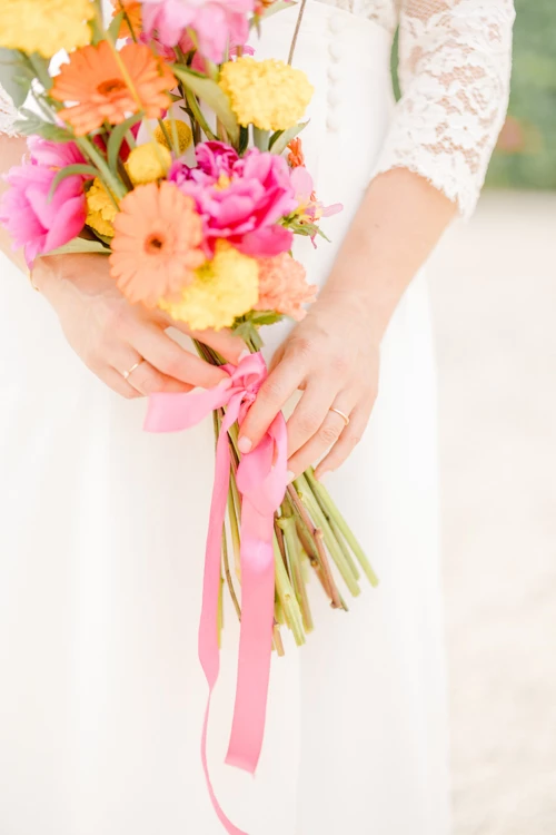 fleur rouge pétale jaune rose